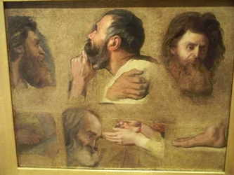 Studies voor Jezus onder de Dokters